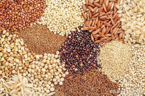 糧食真菌毒素 糧食真菌毒素